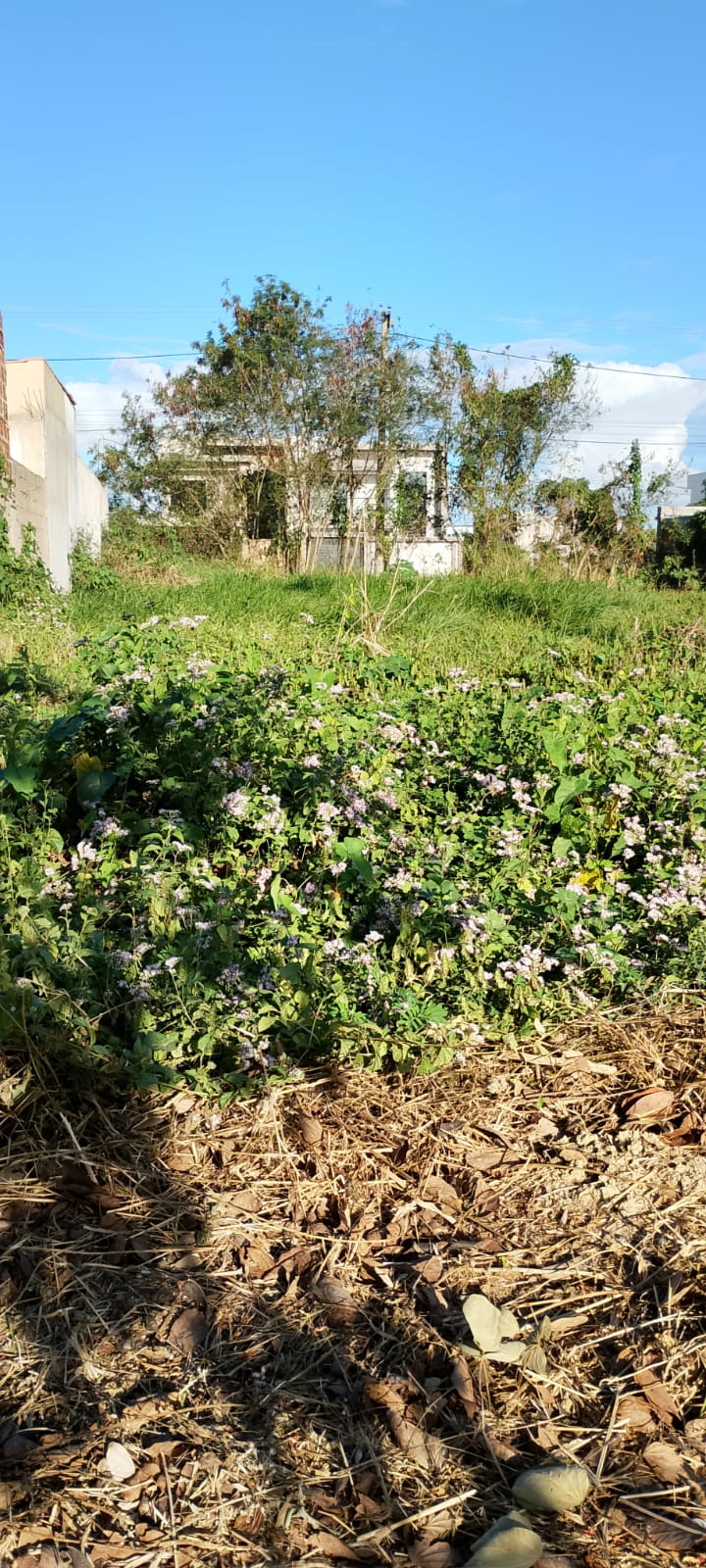 Terreno no Residencial Village