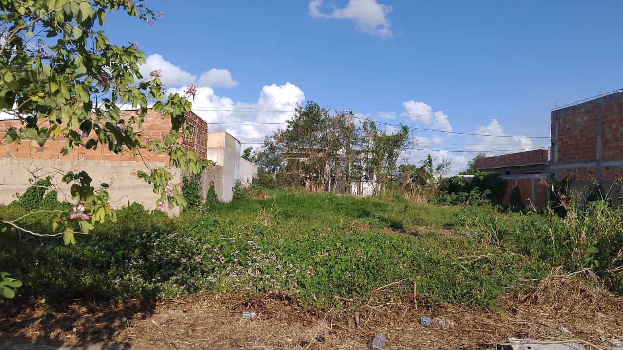 Foto 5 de 6 — Terreno no Residencial Village